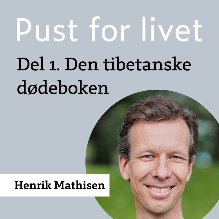 cover art for Henrik Mathisen. Del 1. Den tibetanske dødeboken