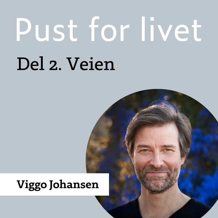 cover art for Viggo Johansen. Del 2. Veien