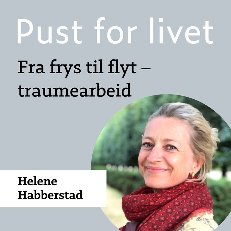 cover art for Helene Habberstad. Fra frys til flyt- traumearbeid