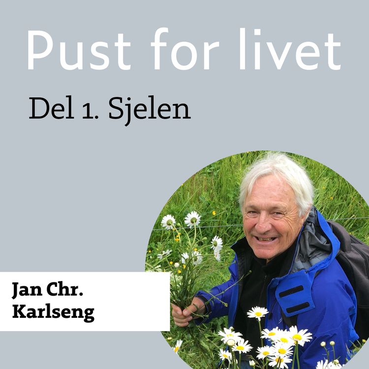 cover art for Jan Chr. Karlseng. Del 1. Sjelen