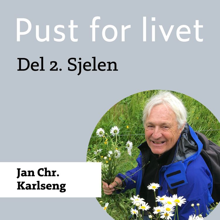 cover art for Jan Chr. Karlseng. Del 2. Sjelen