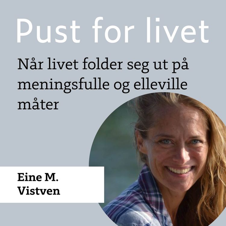 cover art for Reprise. Eline M. Vistven. Når livet folder seg ut på meningsfulle og elleville måter