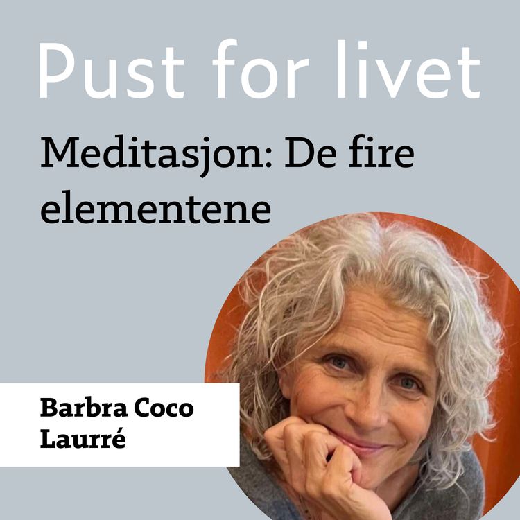 cover art for Reprise. Barbra Coco Laurré. En meditasjon: De fire elementene.
