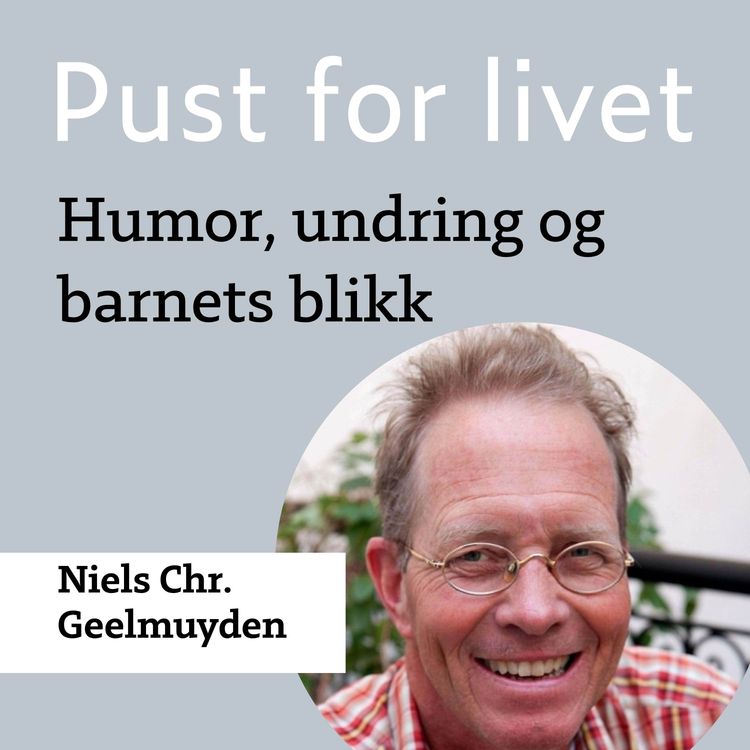 cover art for Niels Chr. Geelmuyden. Humor, undring og barnets blikk