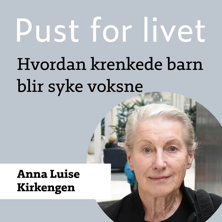 cover art for Anna Luise Kirkengen. Hvordan krenkede barn blir syke voksne.