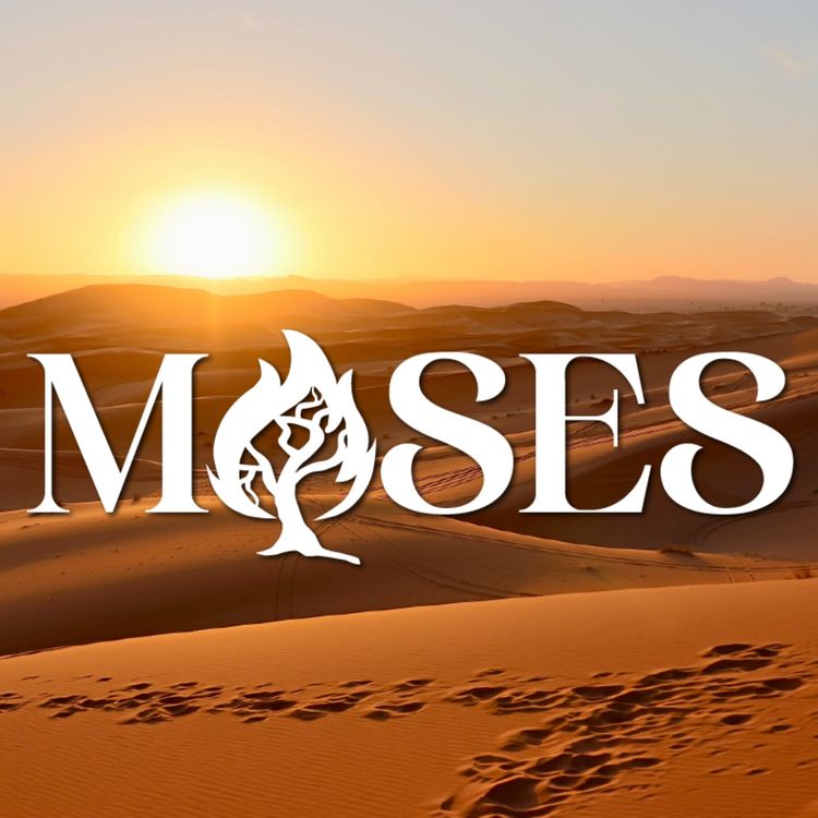 cover art for Moses: Exodus 3-4