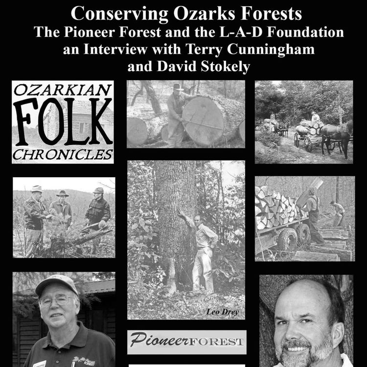 cover art for Episode 20 - The Pioneer Forest/L-A-D Foundation: Conserving Ozarks Forests for Today and Tomorrow. An Interview with Terry Cunningham and David Stokely