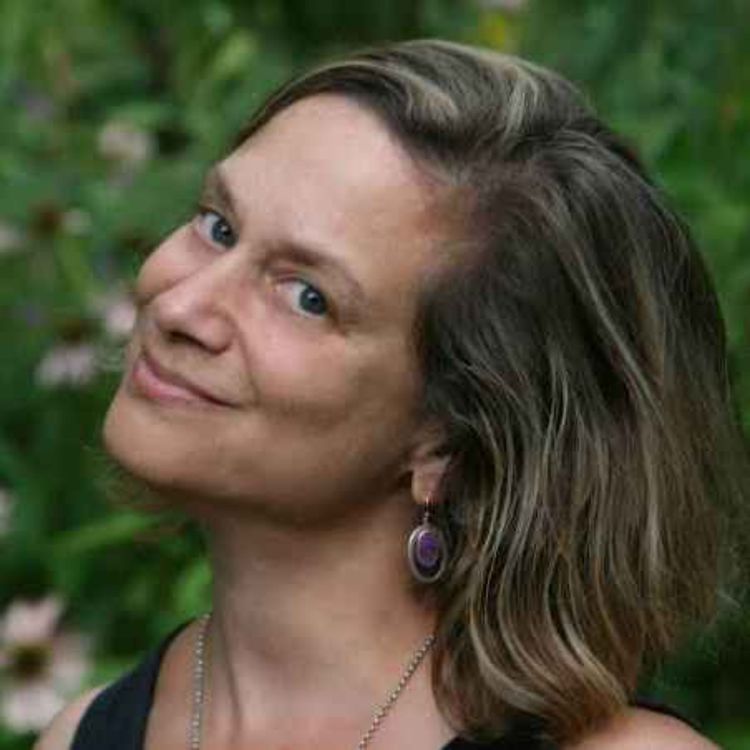 cover art for The Reindeer Chronicles with Judith D Schwartz: get inspired!