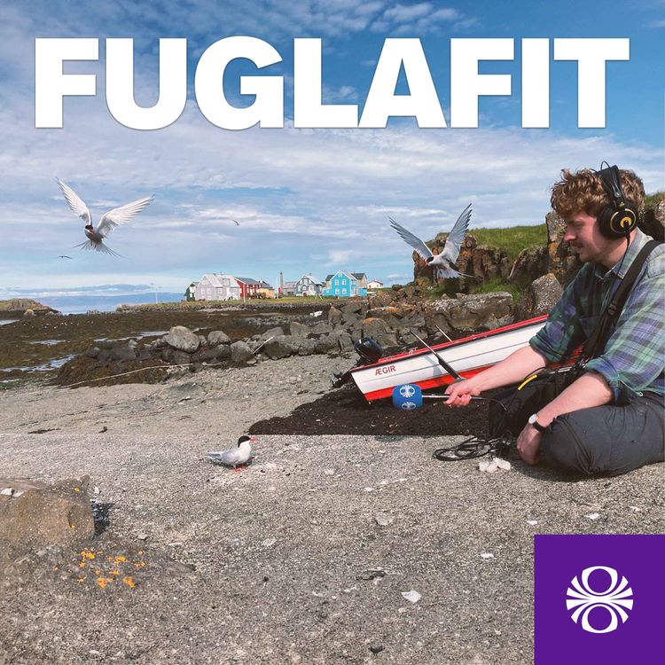 cover art for Fuglafit 2. þáttur 