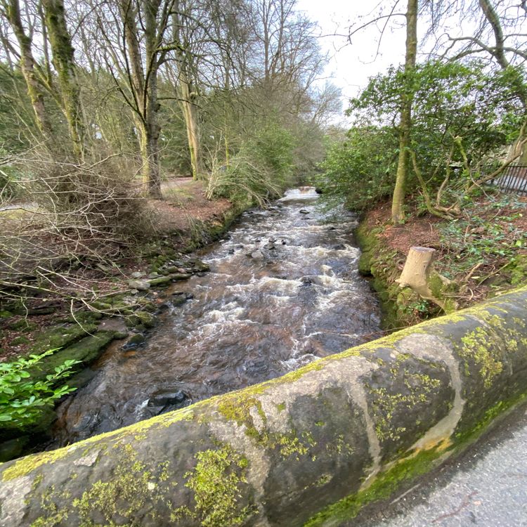 cover art for Rehab, River Ayr Way & UESCA Nutrition Takeaways