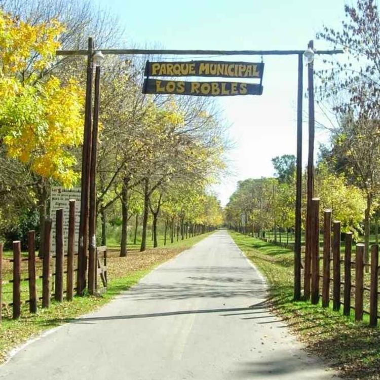 cover art for Vacaciones de invierno en Moreno