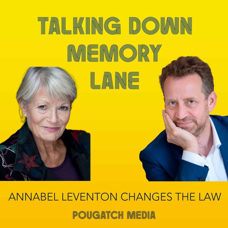cover art for Annabel Leventon Changes The Law