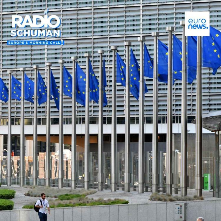 cover art for Too Centralised? Unattractive? The New European Commission Needs Change