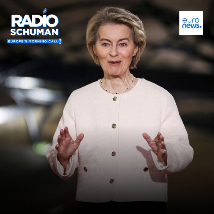 cover art for Can the European Commission successfully simplify EU legislation ?