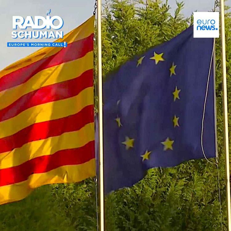 cover art for Is the EU posed to adopt three new official languages?