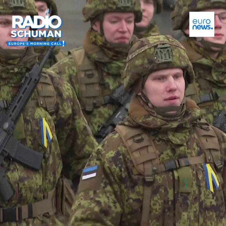 cover art for Don’t send troops to Ukraine at this stage, says lead MEP