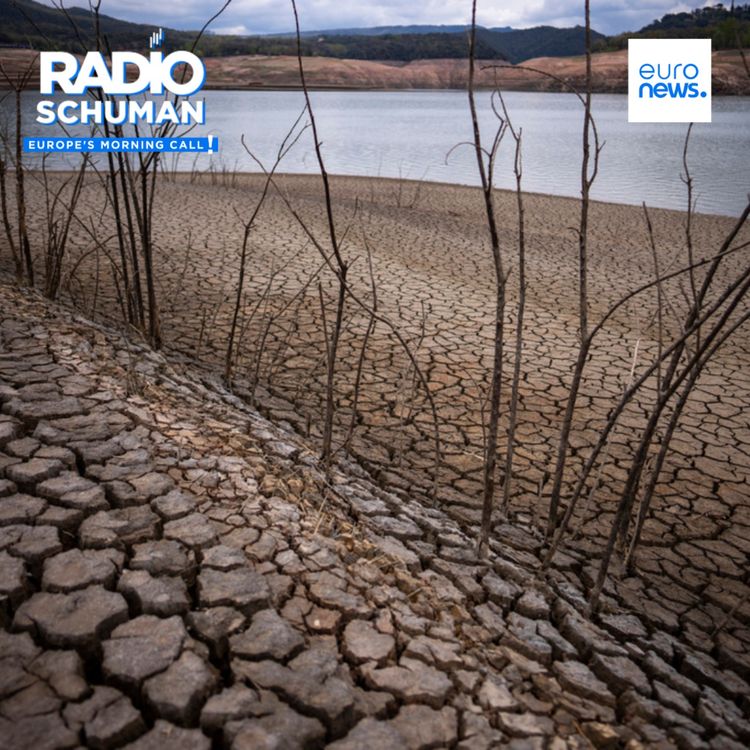 cover art for Why Europe should be worried about the ongoing drought