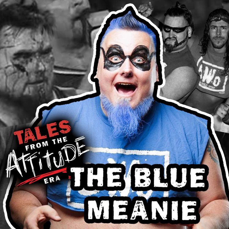 cover art for The Blue Meanie Talks About His Career and Shoot Punches from JBL 