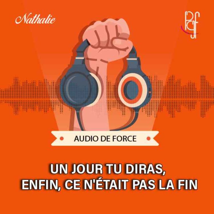 cover art for Un jour tu diras, enfin, ce n'était pas la fin