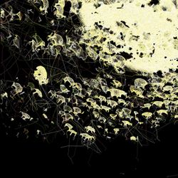 cover art for Another Slice of Space and Time