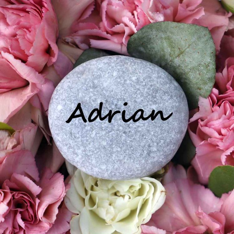 cover art for Adrian