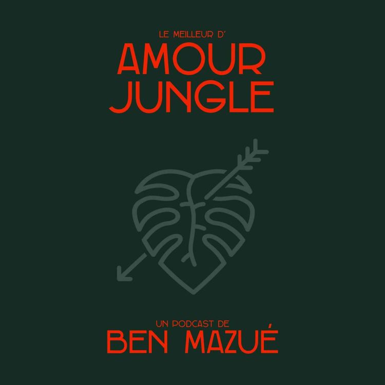 cover art for Le meilleur d'Amour Jungle