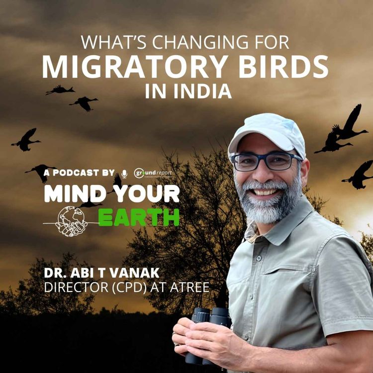 cover art for What's Changing For Migratory Birds In India?