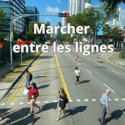 cover art for Marcher entre les lignes