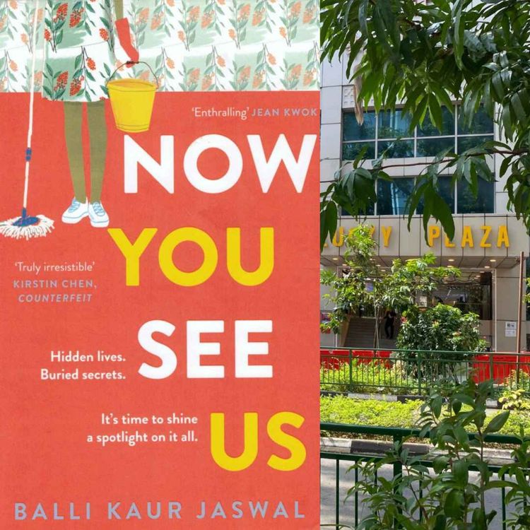 cover art for Now you see us de Balli Kaur Jaswal