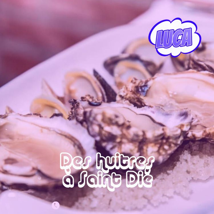 cover art for Des huitres à Saint Dié : le Gainsbar