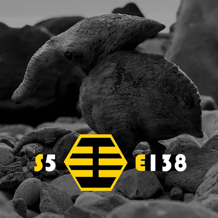 cover art for THE AMOLI-TE