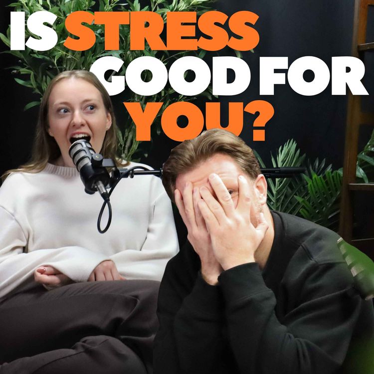 cover art for The One Where Everyone Is Stressed