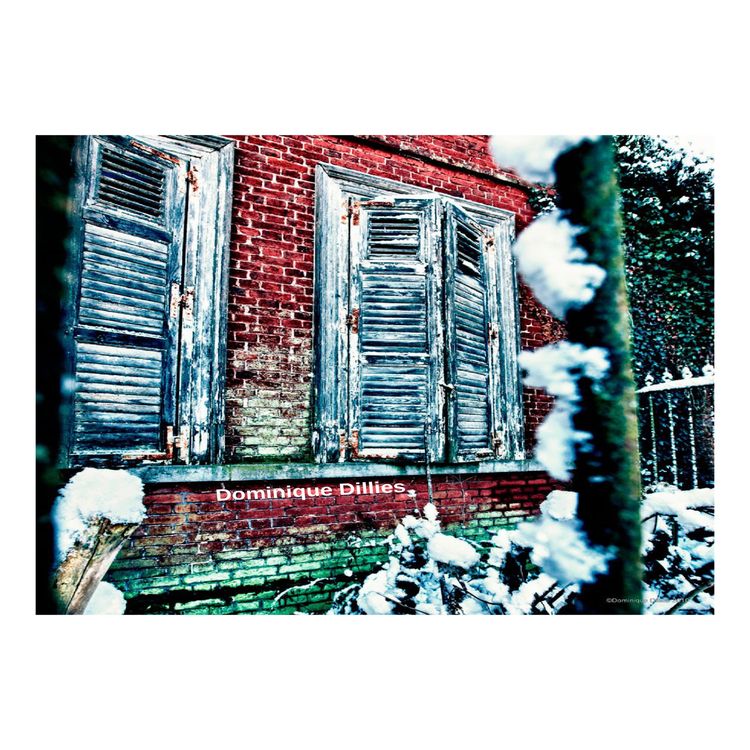 cover art for Josy a peur de sortir
