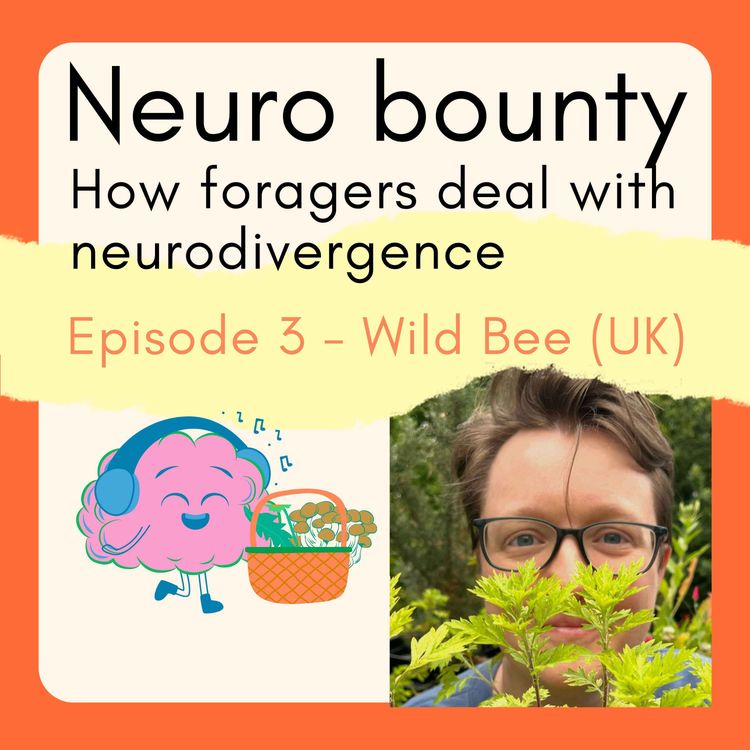 cover art for 3. Wild Bee (UK) - Differences not deficits