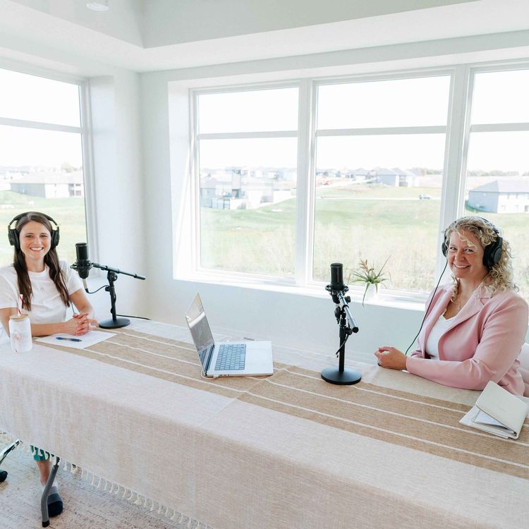 cover art for The The Healthy Practitioner Podcast -Hormone Harmony with Kristi Norman EP 3