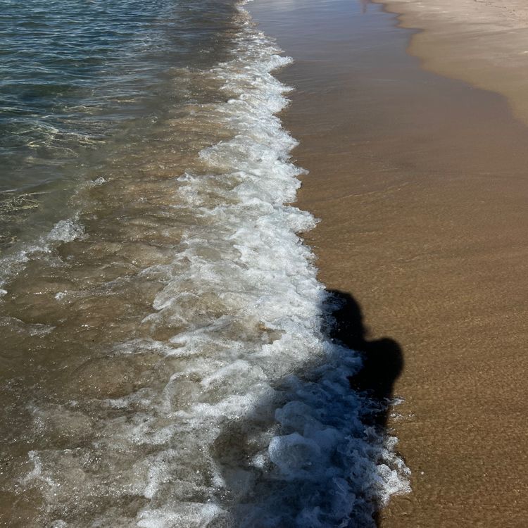 cover art for 2025 - jour 9 : on regarde des films