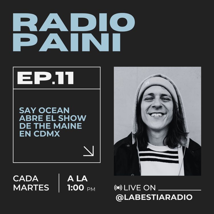 cover art for Radio Paini #11 - 19 Marzo 2024