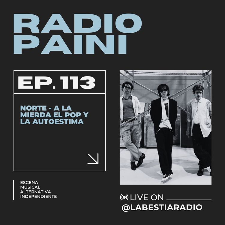 cover art for Radio Paini #113 - NORTE 