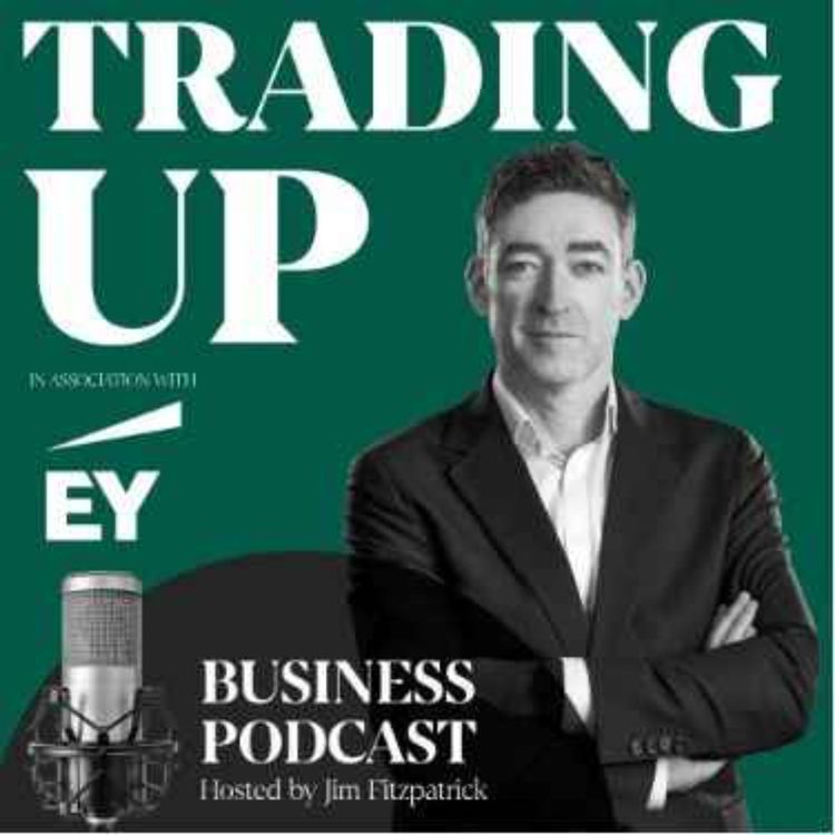 cover art for The Newry lawyer and the Irish unicorn - John McEvoy