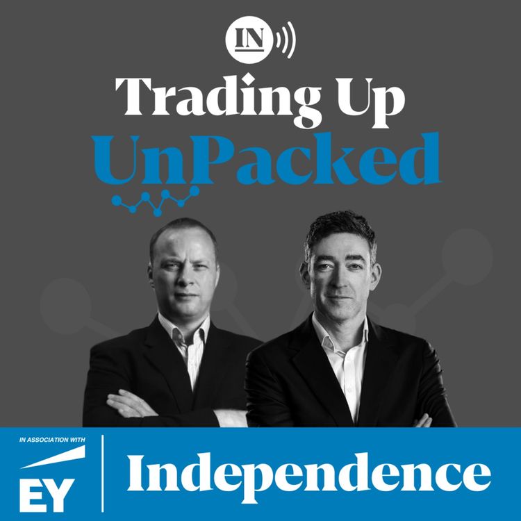 cover art for Economic Inactivity, EV Wars, and Regime Roulette: Navigating the 2025 Landscape