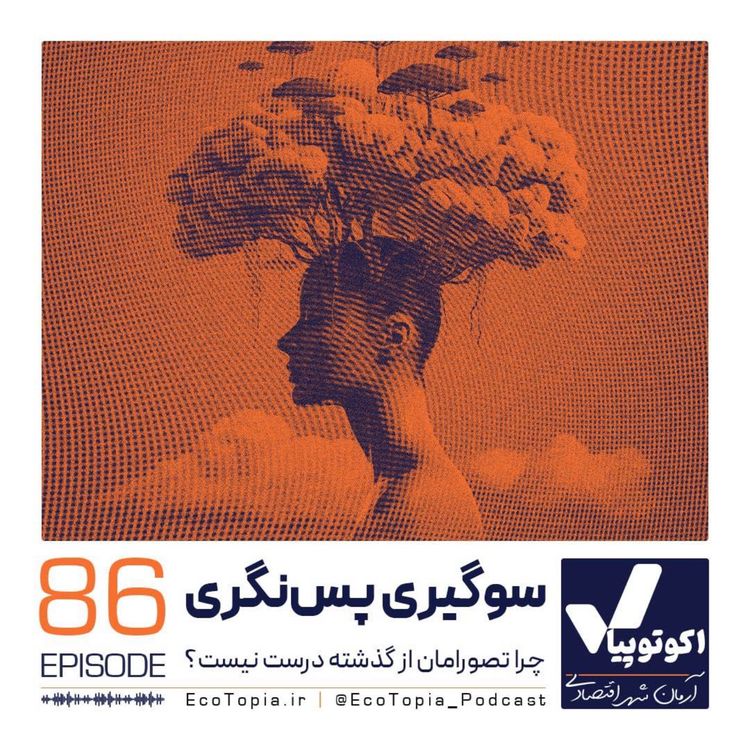 cover art for سوگیری پس نگری