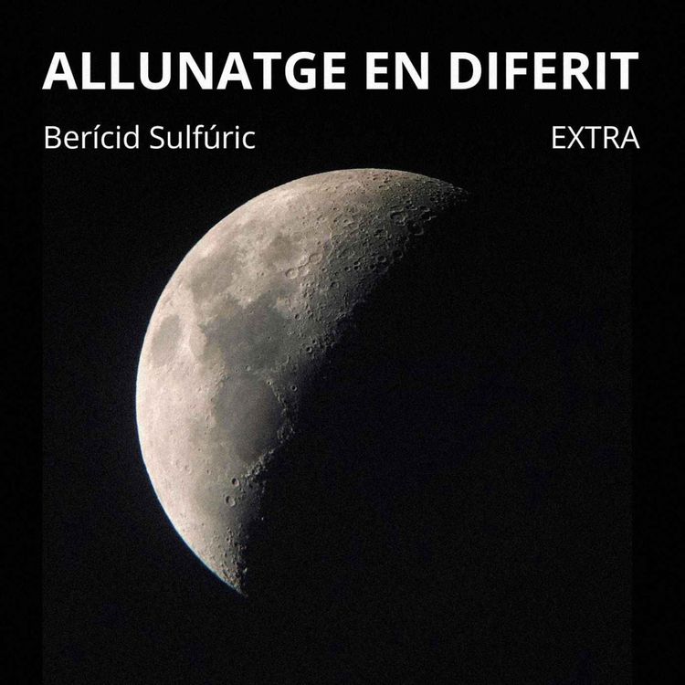 cover art for EXTRA - Allunatge en diferit