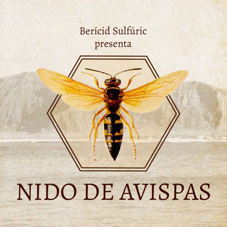 cover art for Nido de Avispas - Teaser