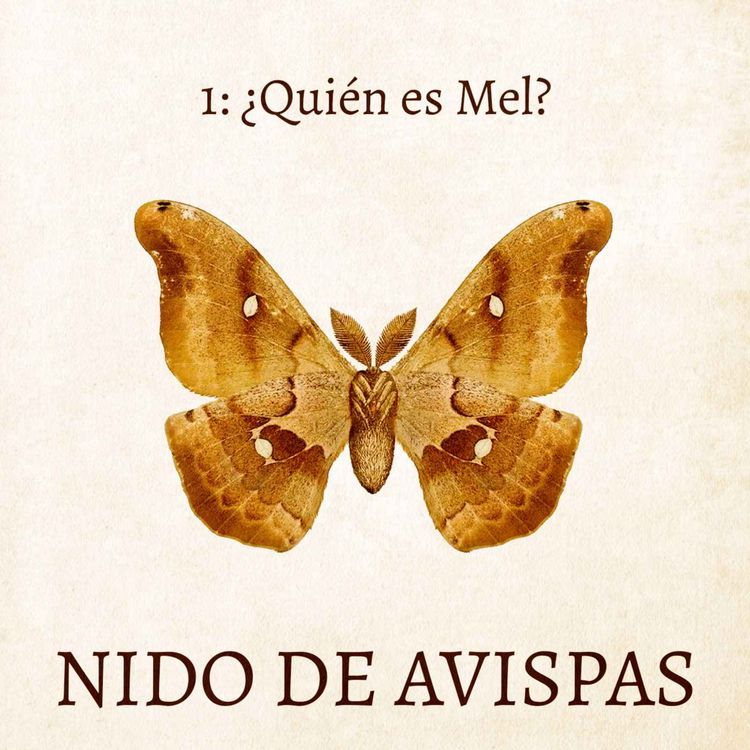 cover art for ¿Quién es Mel?