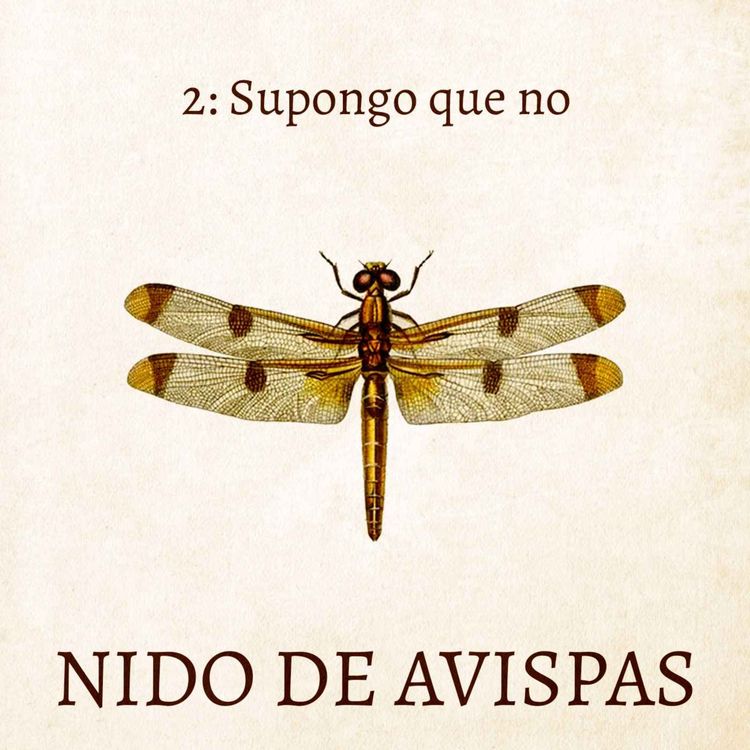 cover art for Supongo que no