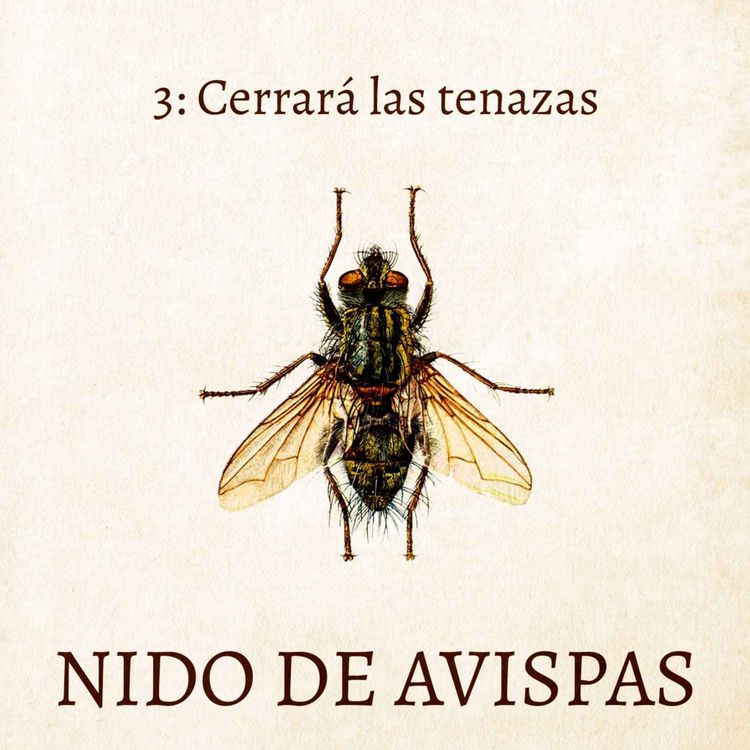 cover art for Cerrará las tenazas