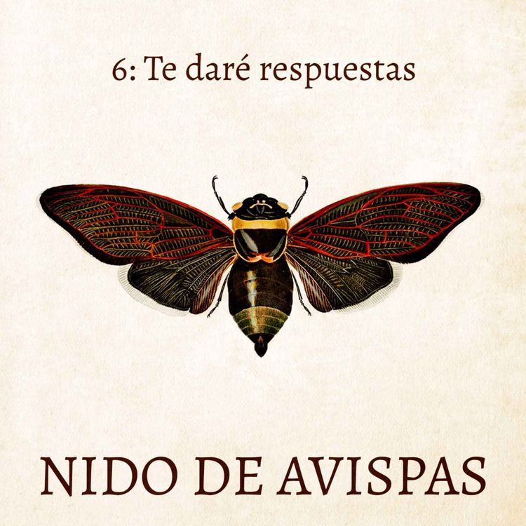 cover art for Te daré respuestas