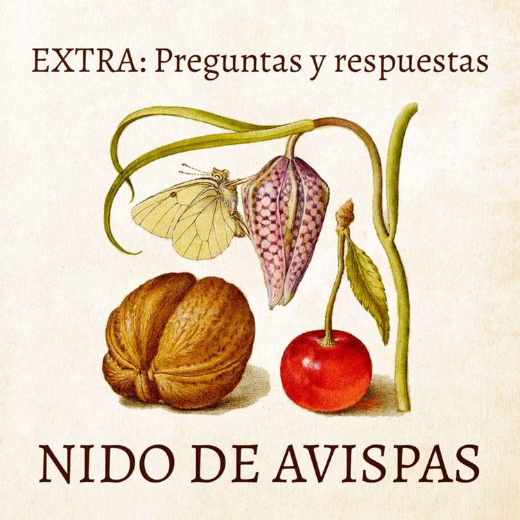 cover art for Extra - Preguntas y respuestas