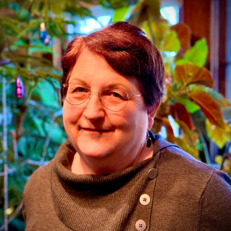 cover art for Lincoln's Most Experienced School Board Candidate? | Interview with Barbara Baier