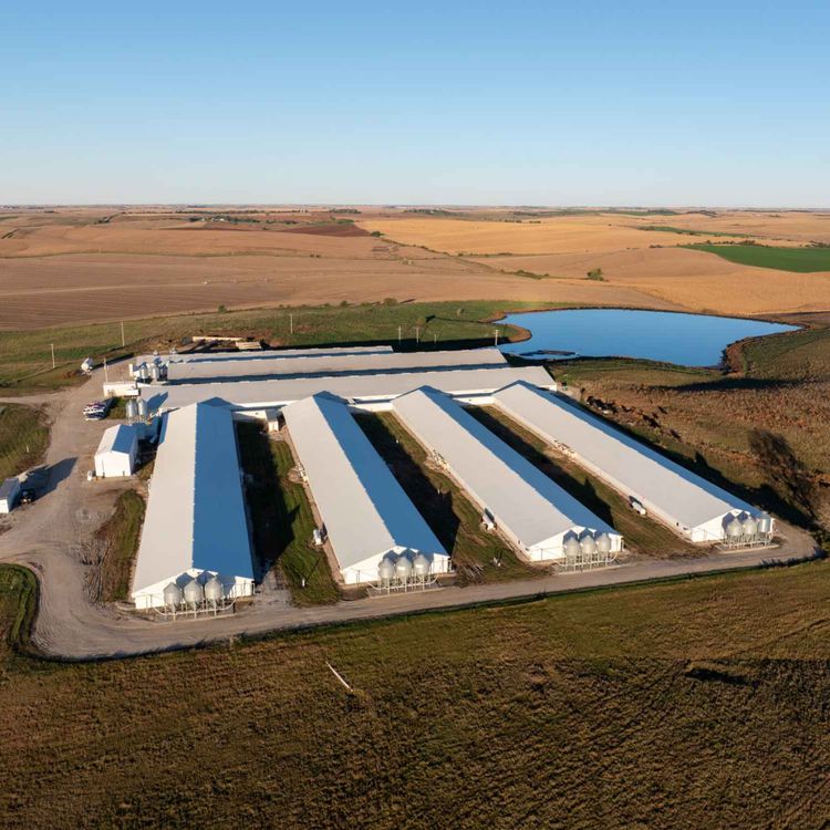 cover art for The Mysterious Death of a Teen at Pillen Family Farms